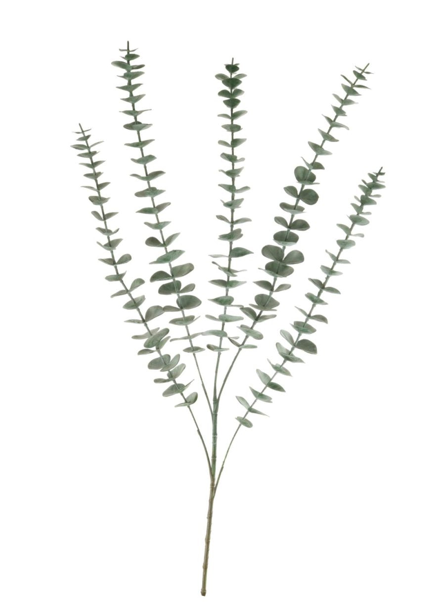 Autumn Eucalyptus - Two Options