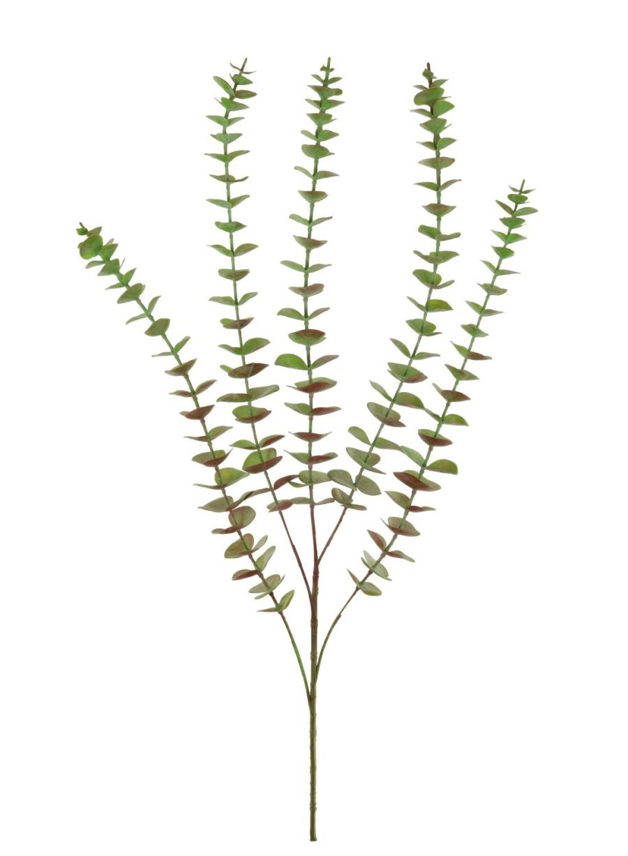 Autumn Eucalyptus - Two Options
