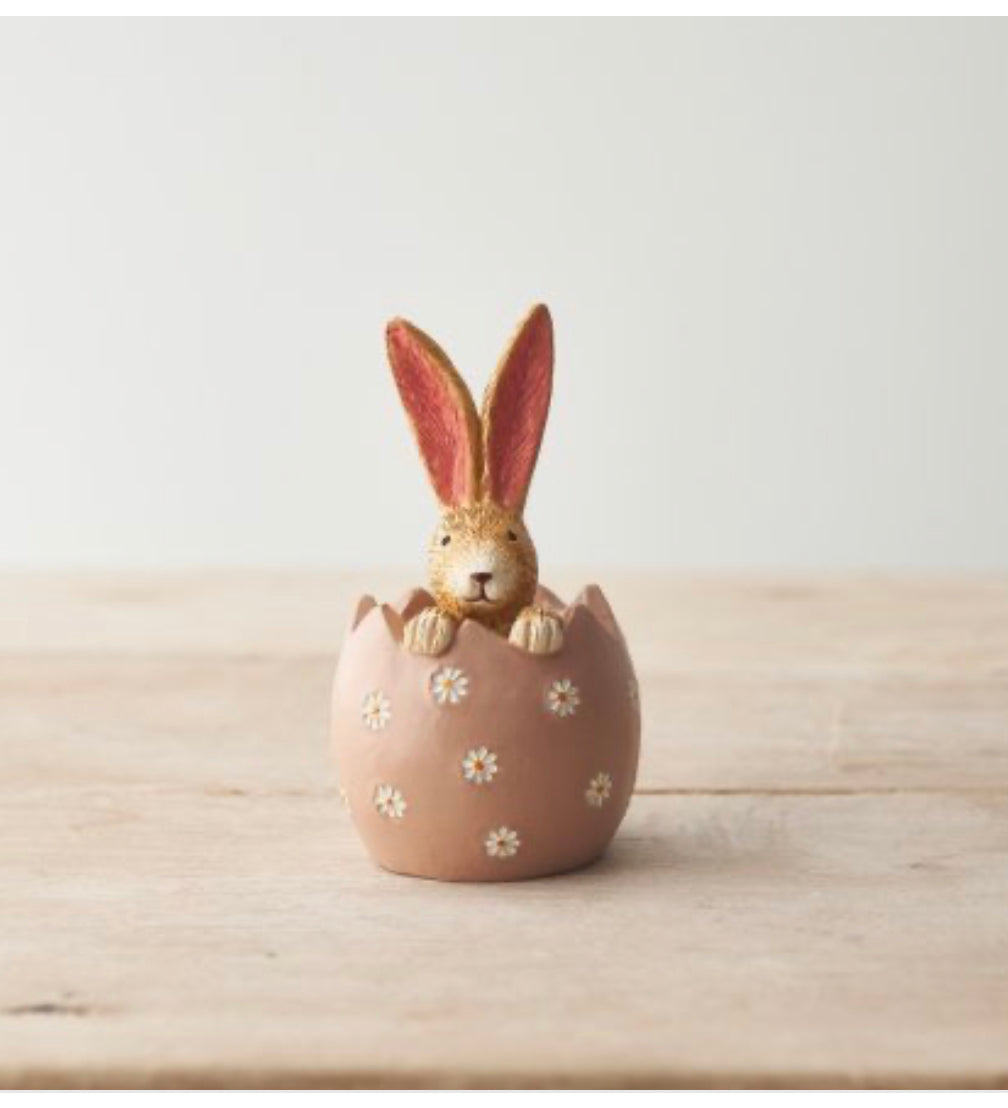 Daisy Rabbit In Cracked Egg