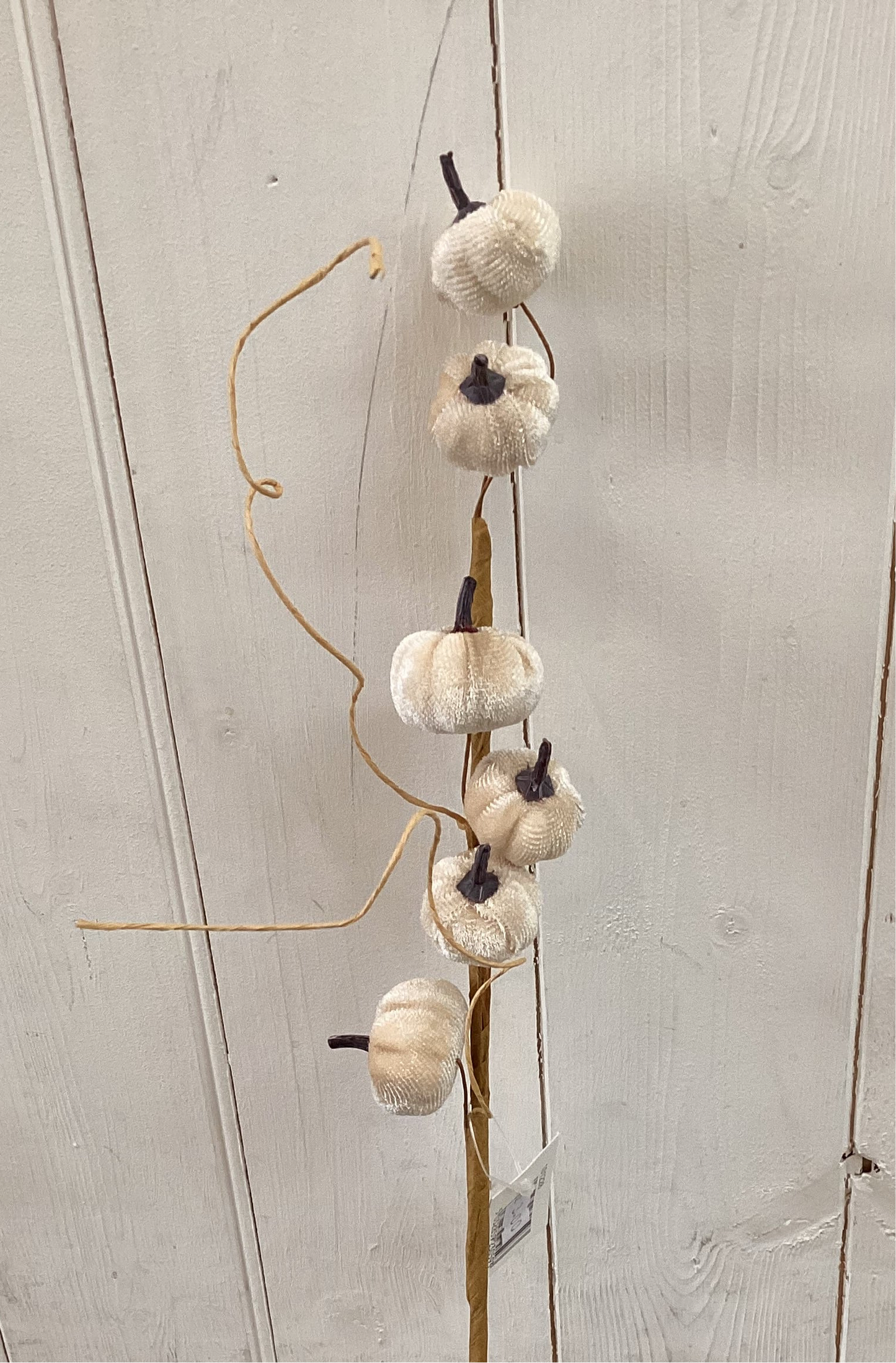 Autumn mini velvet pumpkin spray (cream)