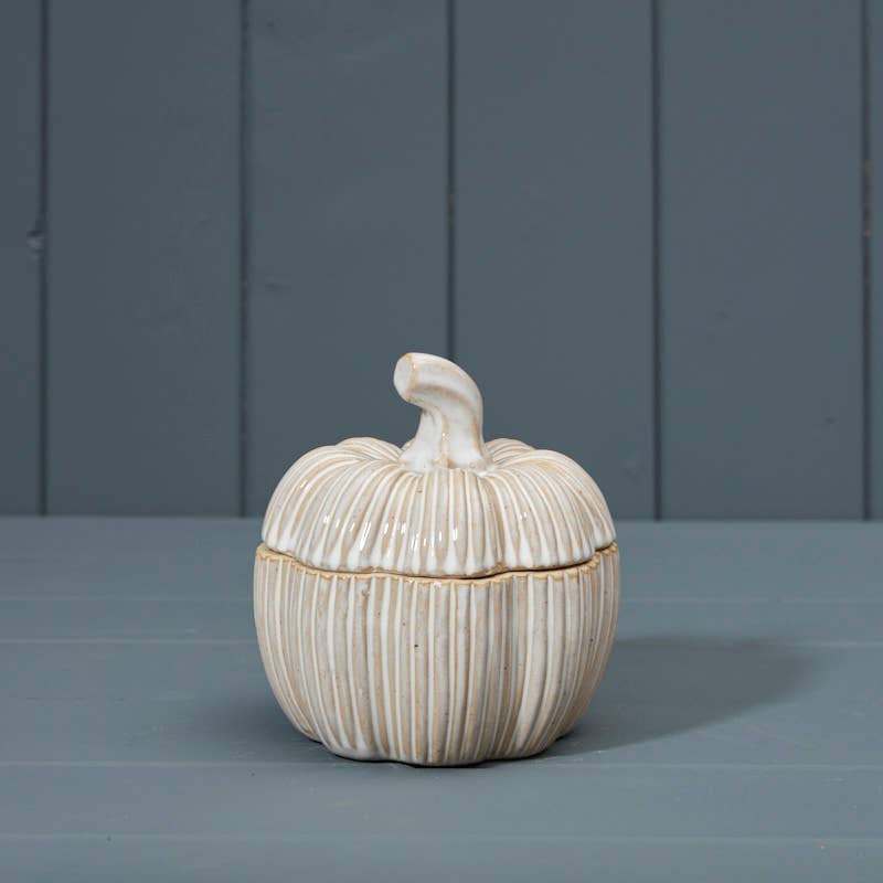 Ceramic Pumpkin Pot