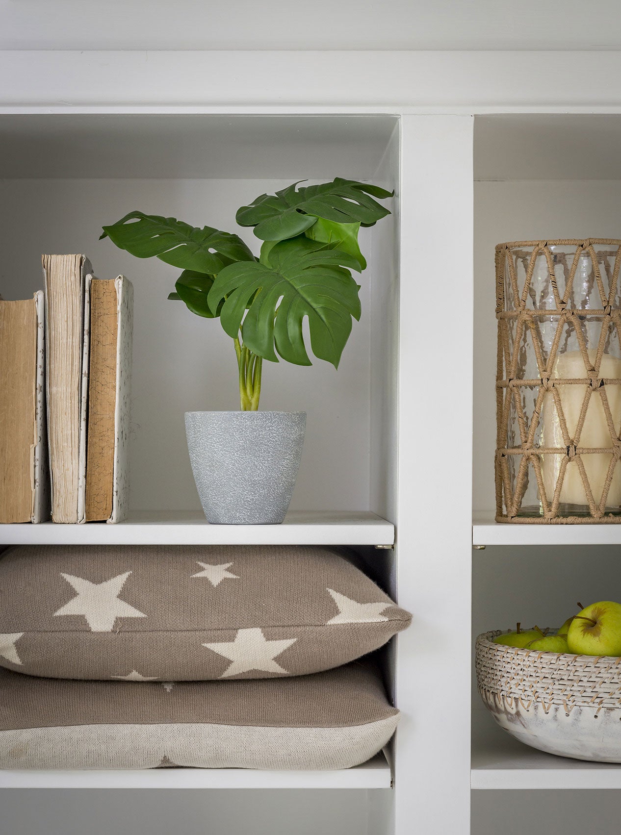 Faux Potted Cheese Plant