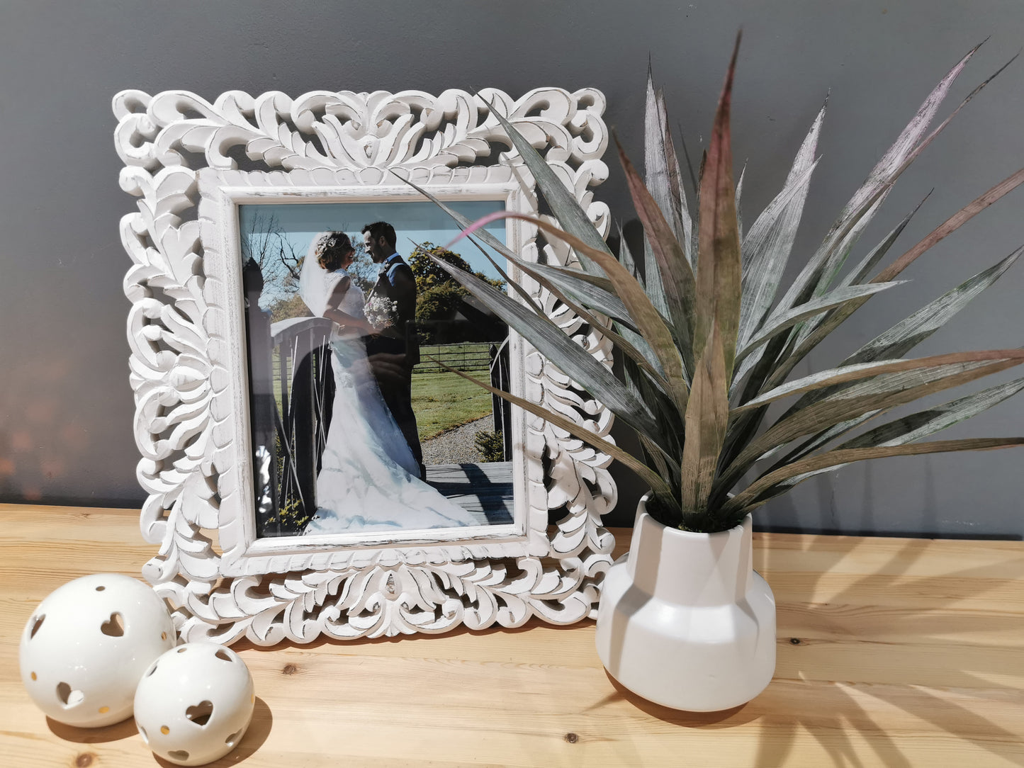 Dragon Palm In Retro Vase