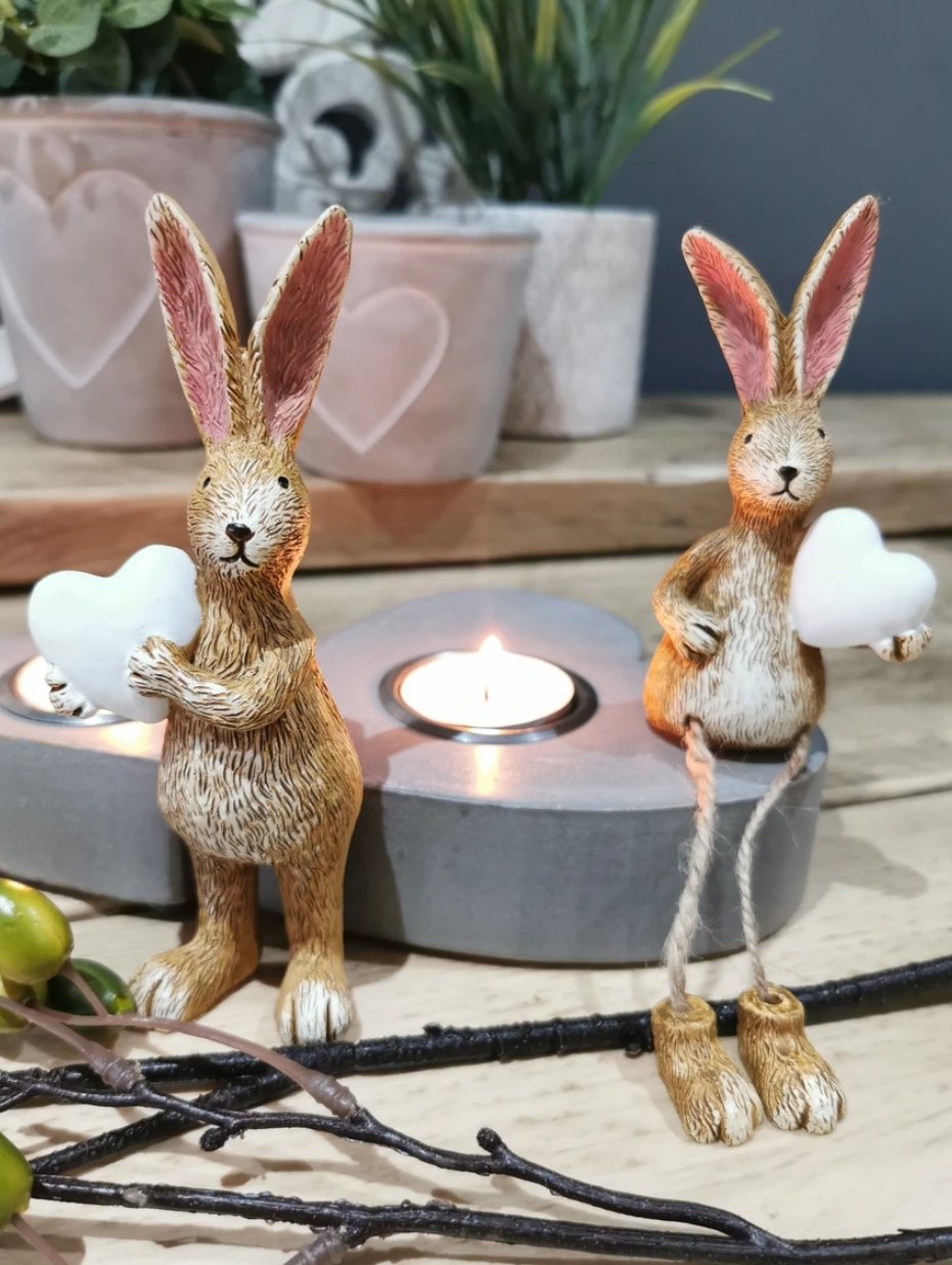 Sitting Rabbit With White Heart