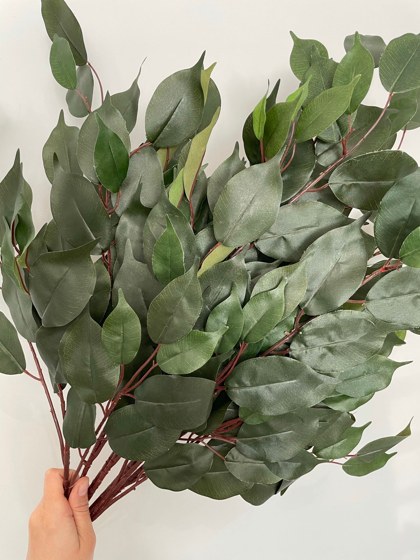 Bay Leaf Spray