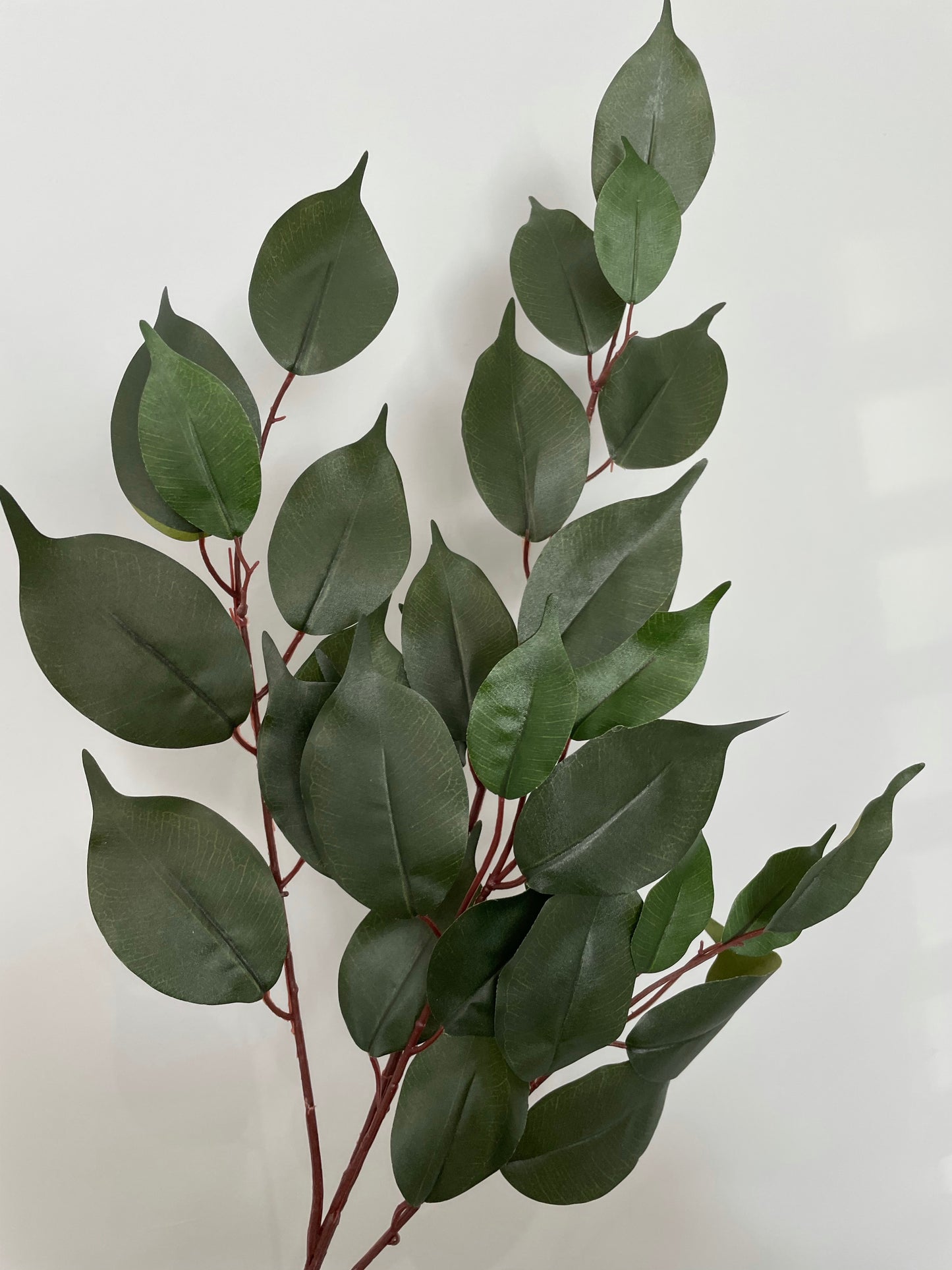 Bay Leaf Spray