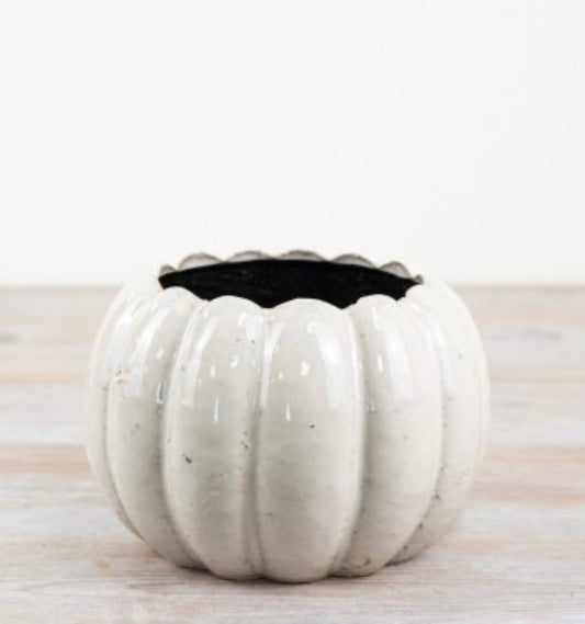 Pumpkin pot small