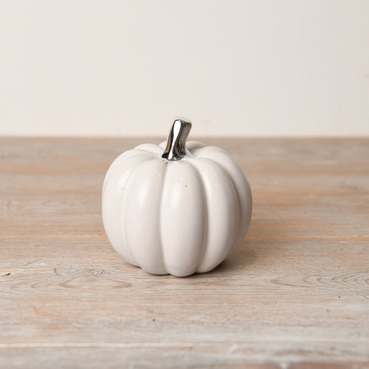 White Pumpkin With Silver Stalk - Small