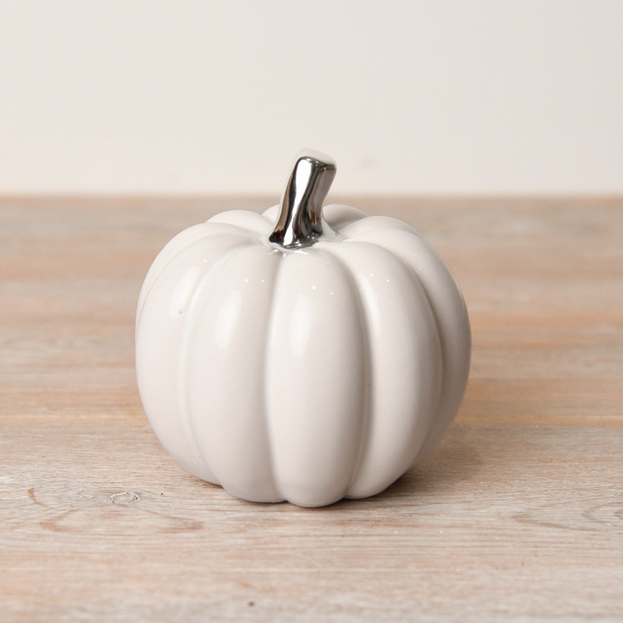 White Pumpkin With Silver Stalk - Medium