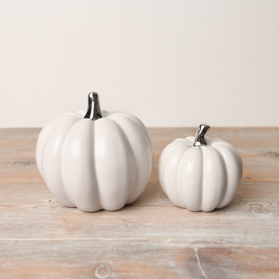 White Pumpkin With Silver Stalk - Medium