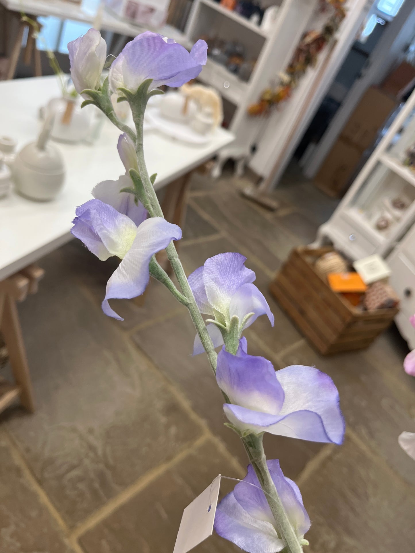 Sweet Pea - Three Colours