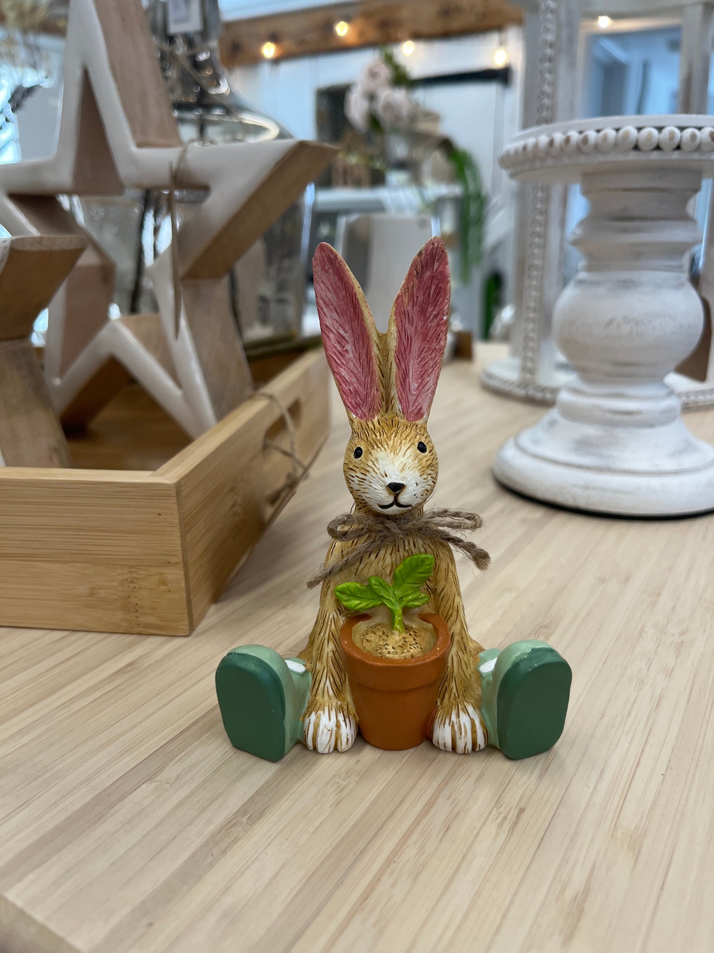 Rabbit With House Plant