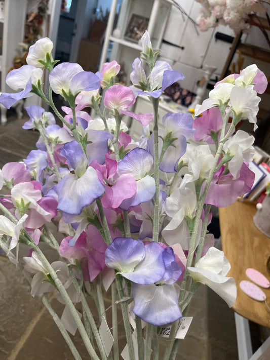 Sweet Pea - Three Colours
