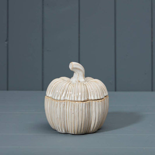 Ceramic Pumpkin Pot