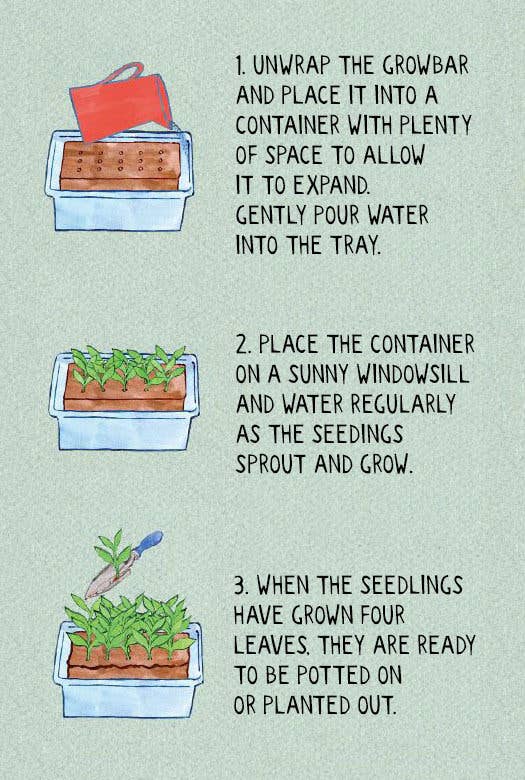 The Edible Flower Growbar