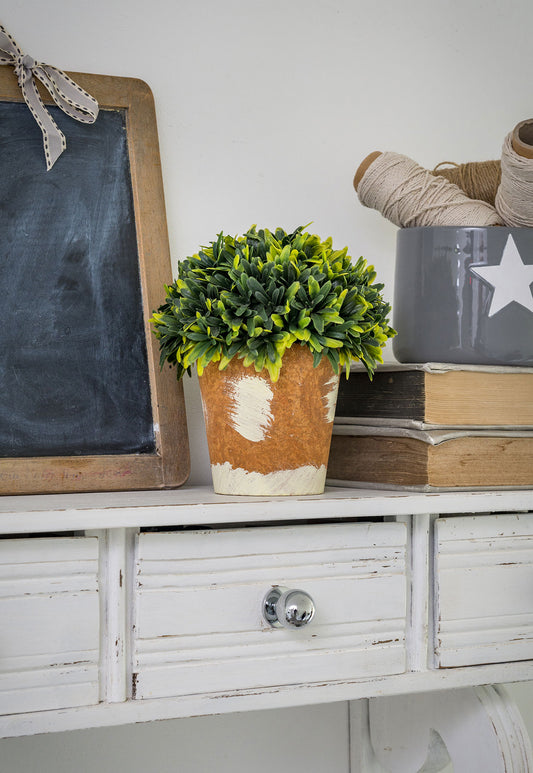 Faux Box Topiary In Terracotta Style Pot