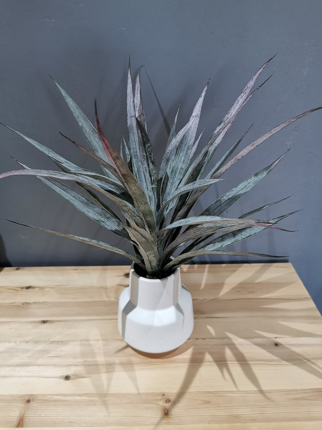 Dragon Palm In Retro Vase