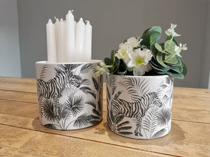 Monochrome Zebra Pots - Two Sizes