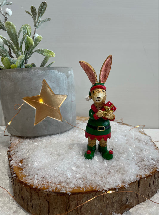 Rabbit In Elf Costume Standing