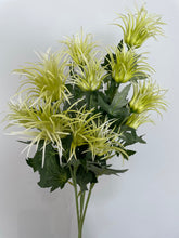 Load image into Gallery viewer, Green Wild Spikey Spray