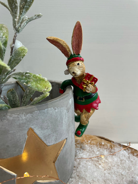 Rabbit In Elf Costume - Pot Hanger