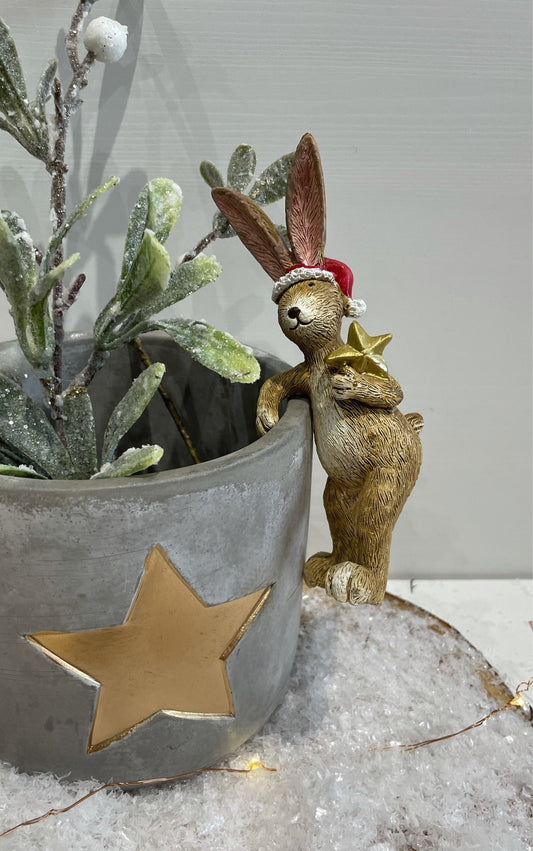 Christmas Rabbit In Santa Hat With Gold Star - Pot Hanger