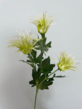 Load image into Gallery viewer, Green Wild Spikey Spray