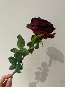 Grape Rose Flower Stem
