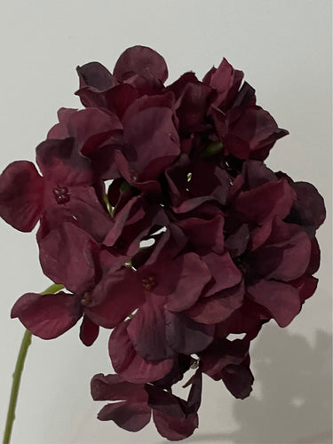 Grape Hydrangea Flower Stem